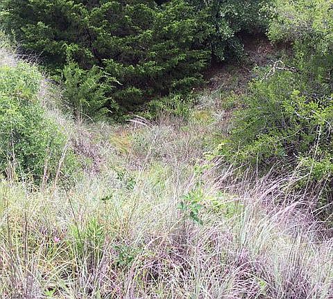 4th image of 0 County Road 3573