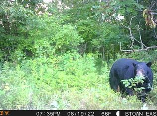 1300th Ave, Wheeler, WI 54772