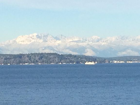 Winter view