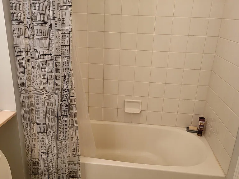 400 N Lasalle St #2803 — Photo 14