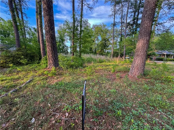 238 N Edinborough St, Red Springs, NC 28377