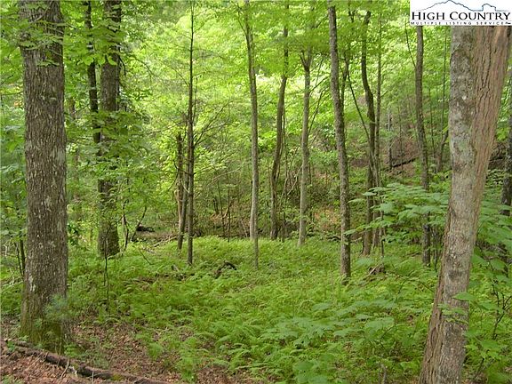 2nd image of TBD Pine Knoll Dr
