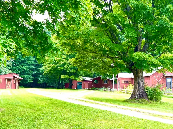 3305 M 94, Chatham, MI 49816