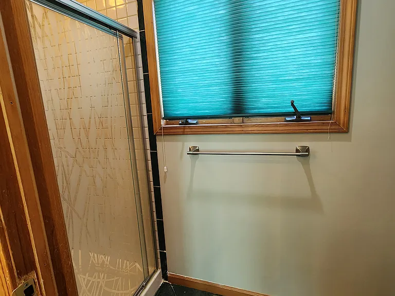 Primary bathroom shower