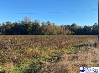 Wallace Rd, Lane, SC 29564