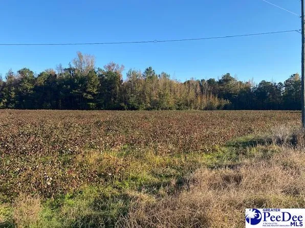 Wallace Rd, Lane, SC 29564