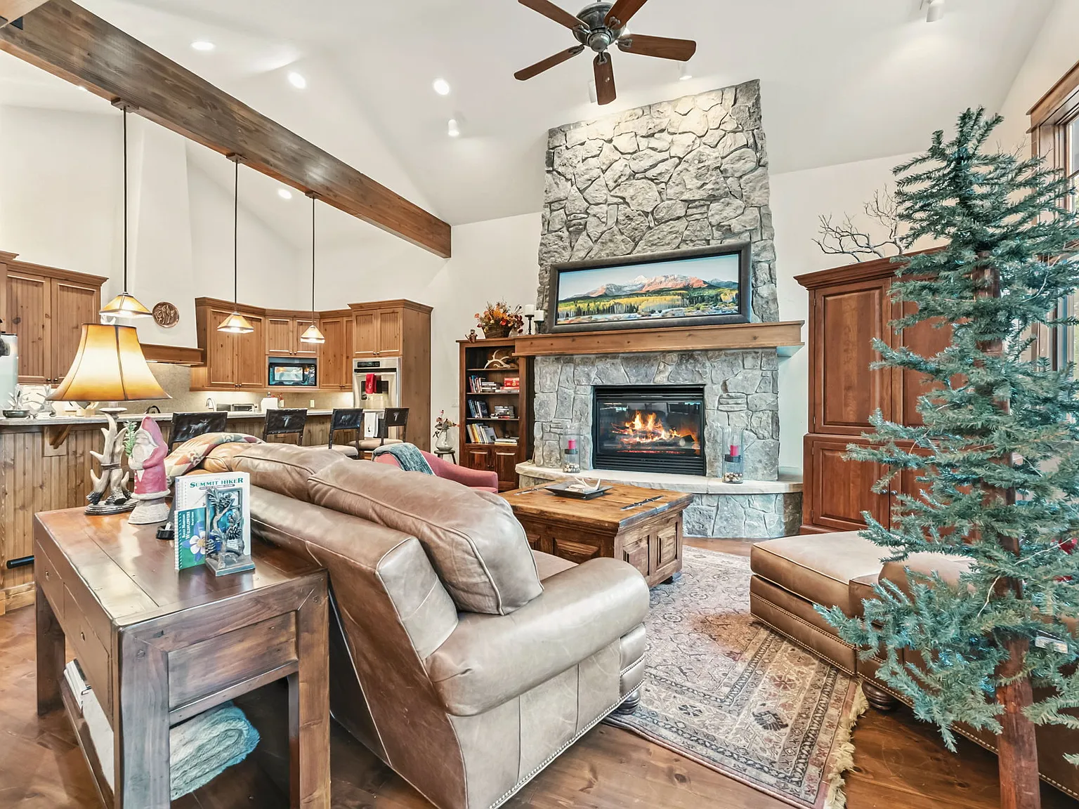 Cucumber Patch Pl, Breckenridge — Photo 1