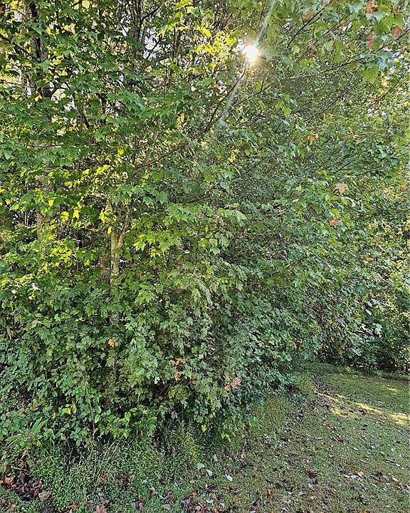 1st image of LOT 14 Linda Carol Ave