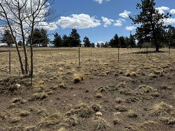 4th image of 2841 Singletree Rd