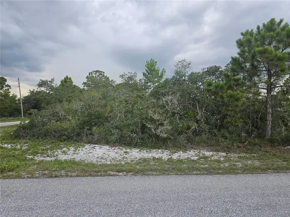 643 Buccaneer St NW Lot 20, Lake Placid, FL 33852