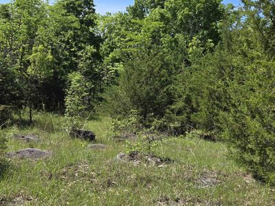 Mulholland Rd, Edwards, MO, 65326