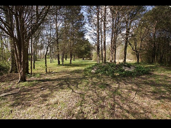 2nd image of 1990 Couchville Park