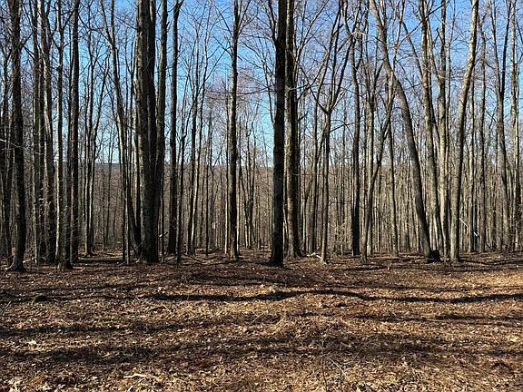 3rd image of Ash Gap Rd
