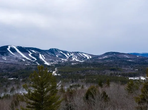 Lot 10 Vista Road, Newry, ME 04261