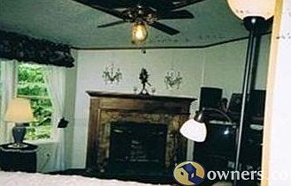 wood burning fire place