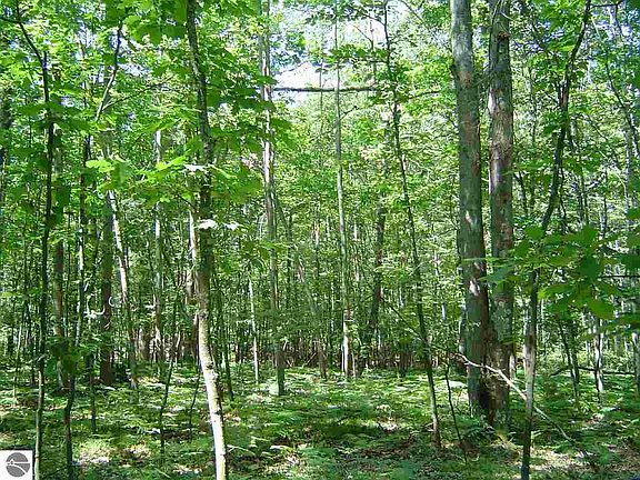 3rd image of 0 Rogers Rd