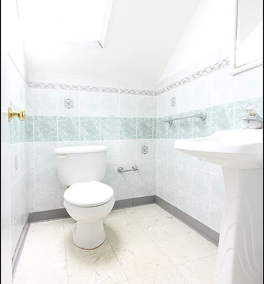 307 Elizabeth St — Photo 5