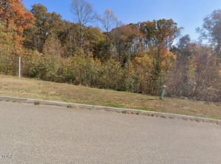 9836 Chesney Hills Ln, Knoxville, TN 37931