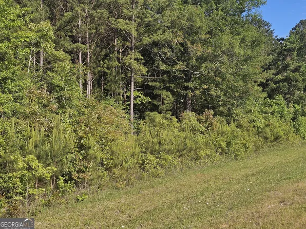 0 Charlie B Johnston Rd, Hogansville, GA 30230