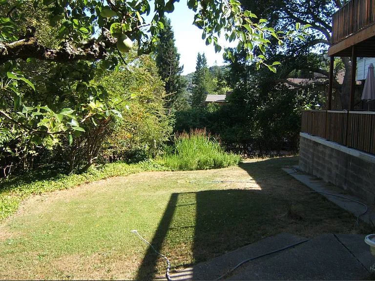 Back yard