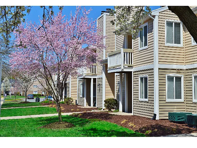 Building Photo - Tide Mill Apartments