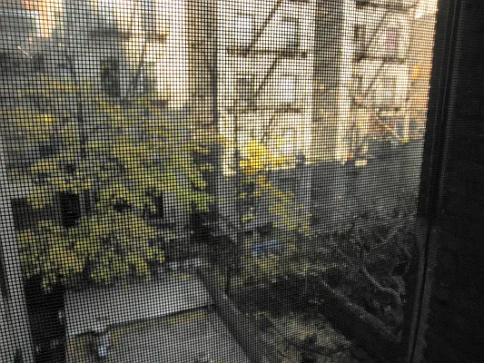 Rented by RV Realty | media 14