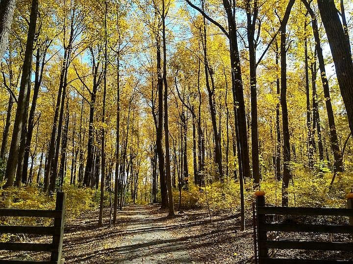 Entrance gate. Trash shed is located here.