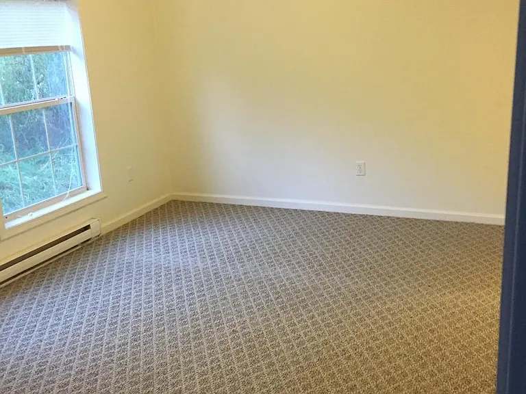 Bedroom New Carpet and window treatment