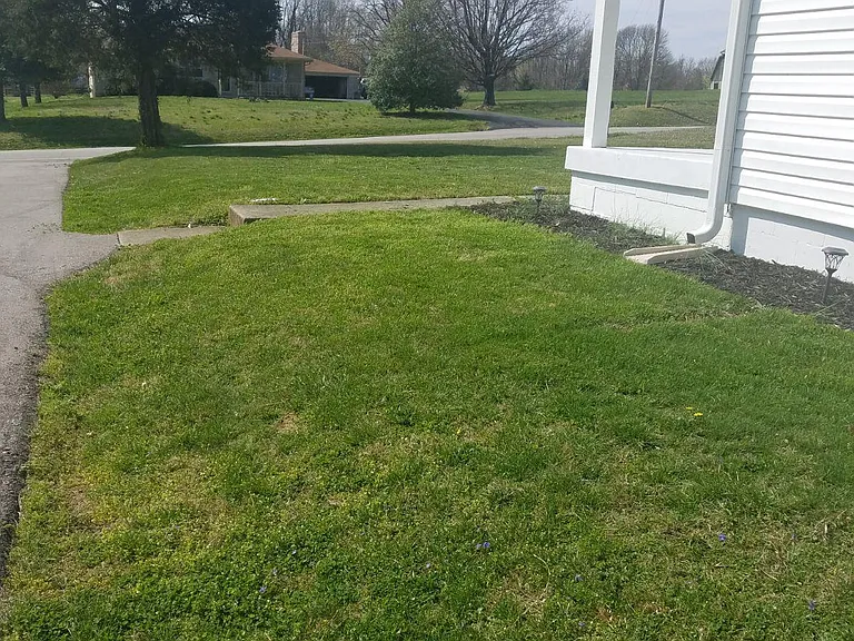 6601 Applegate Ln — Photo 7