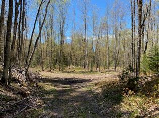 0 N Maple Block Rd, Paradise, MI 49768