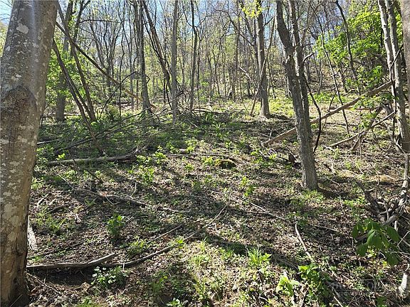 5th image of TBD Round Knob Ridge Road