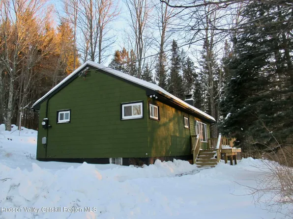 4030 Vega Mountain Road, Roxbury, NY 12474