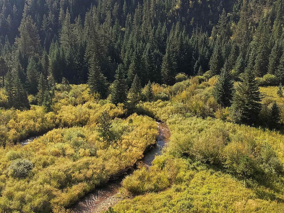 11755 Rochford Rd, Rochford, SD 57745 MLS 77952 Zillow