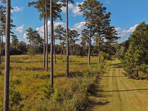 89th image of 1451 River Rd
