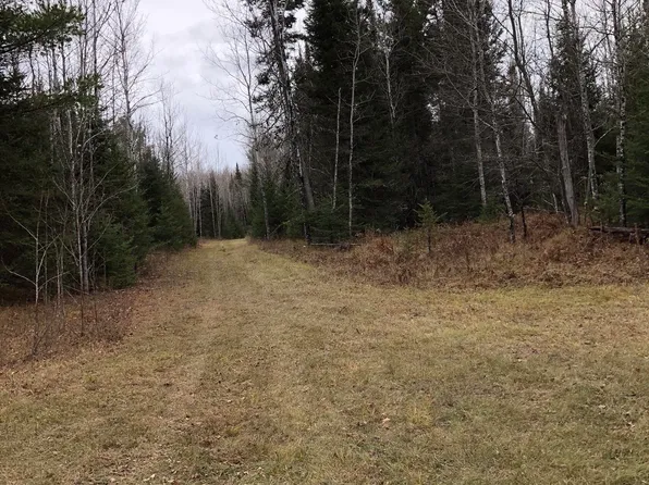 N4176 Foster City Rd, Vulcan, MI 49892