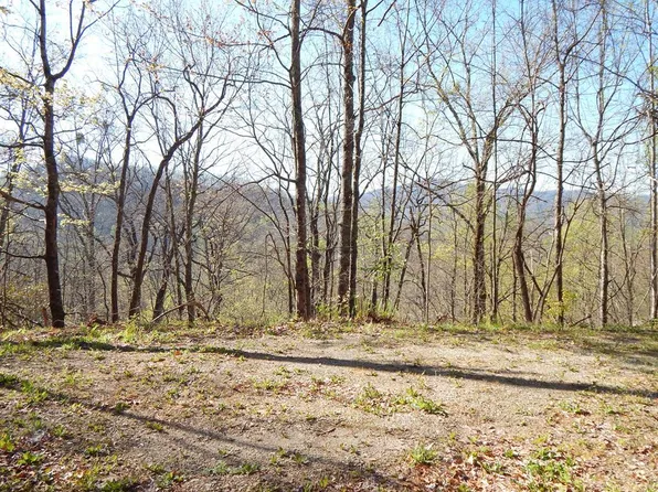11-2&12 Treetop Dr, Hayesville, NC 28904