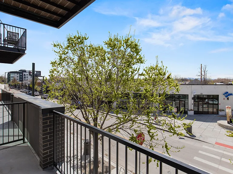41Tenn — Photo 23