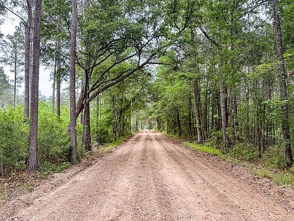 Hayne Hallsc Land For Sale 22