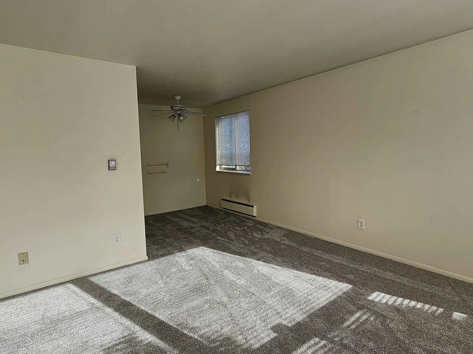 1 bed, 600 sqft, $1,450 — Photo 3