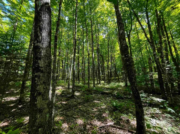 Little Lake Rd, Gwinn, MI 49841