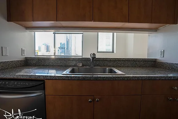 Rented by Platinum Properties | media 5