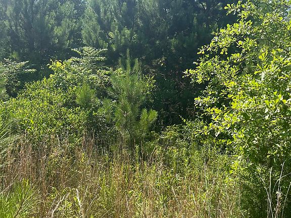 4th image of 920 County Road 1640 S