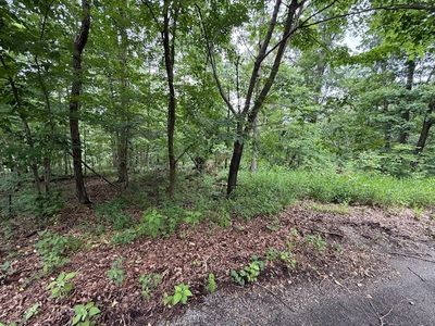 Rori Ln #8, Bella Vista, AR, 72715