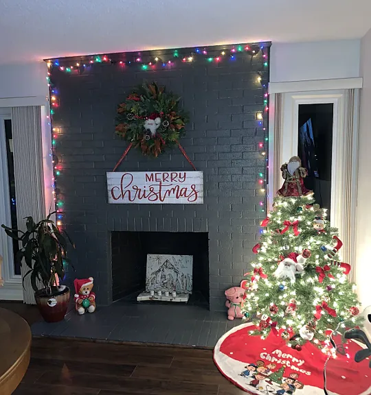 250 Sugar Gum Ln #229 — Photo 20
