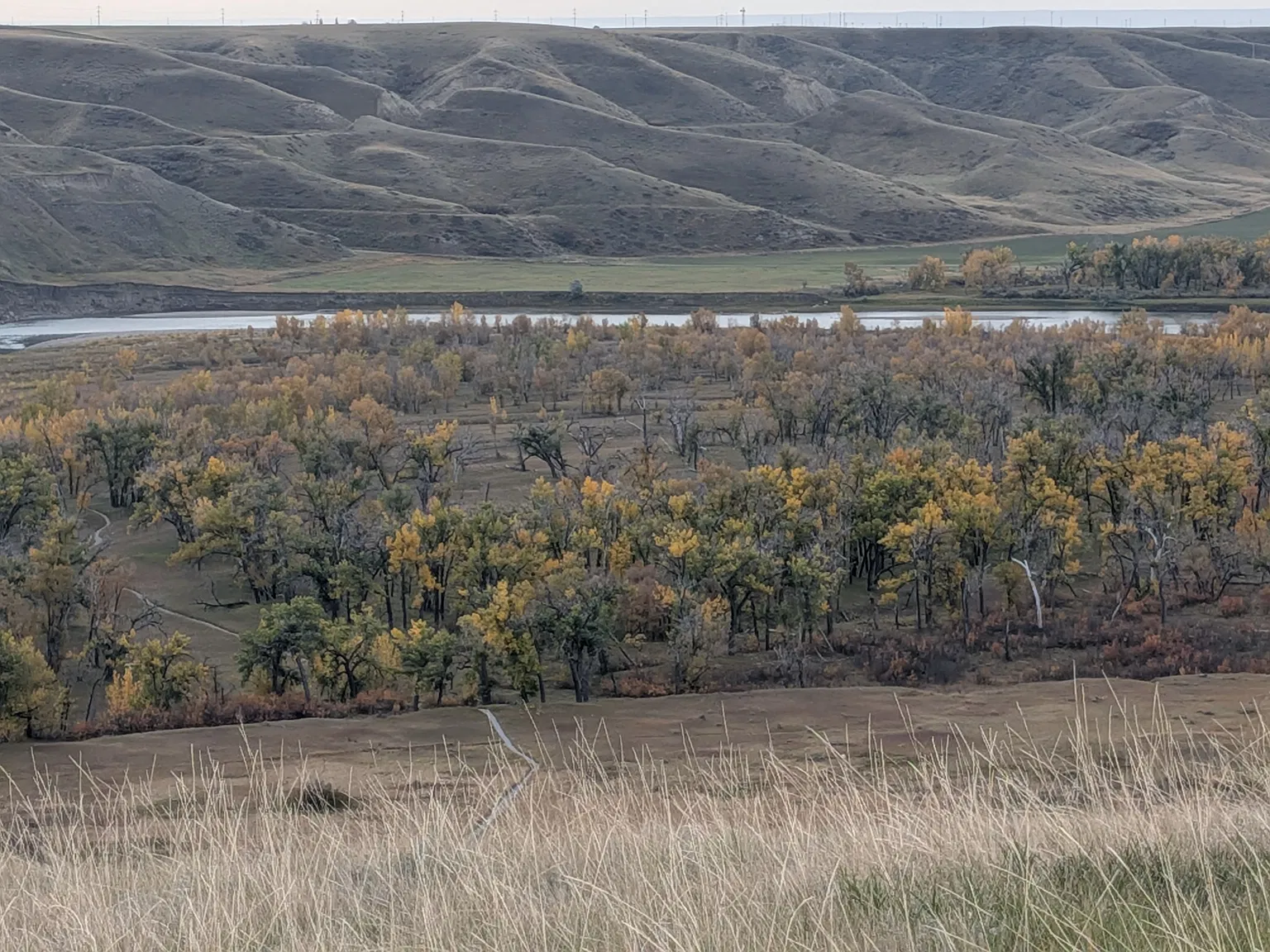 Chilcotin Rd W, Lethbridge — Photo 4