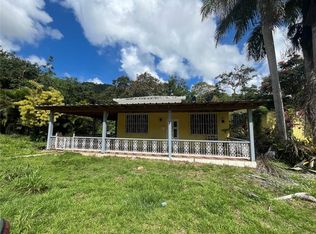 State Route 183 Km #7.9, San Lorenzo, PR 00754