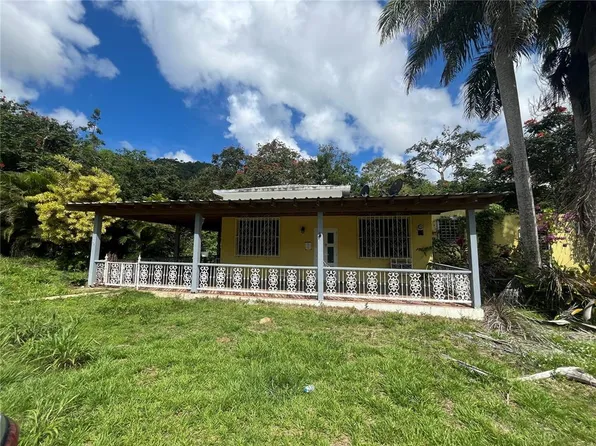 State Route 183 Km #7.9, San Lorenzo, PR 00754