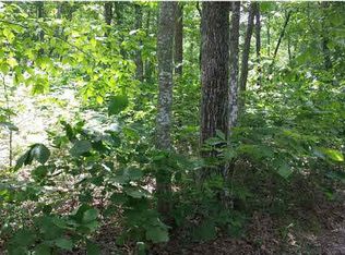 3845 Paynes Pond Rd, Scottsville, VA 24590