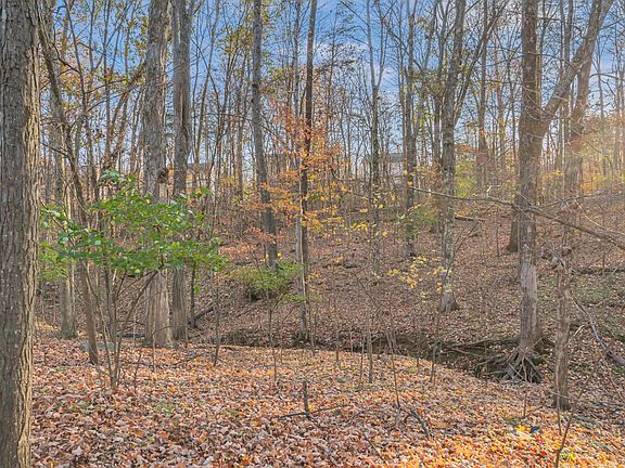 3rd image of 319 Hunters Chase Dr