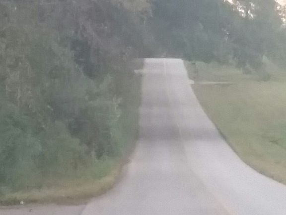 4th image of 1518 Lakeland Dr